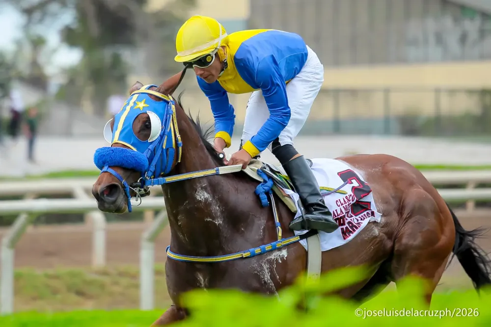 WhatsApp Image 2026-01-24 at 4.56.01 PM (2)