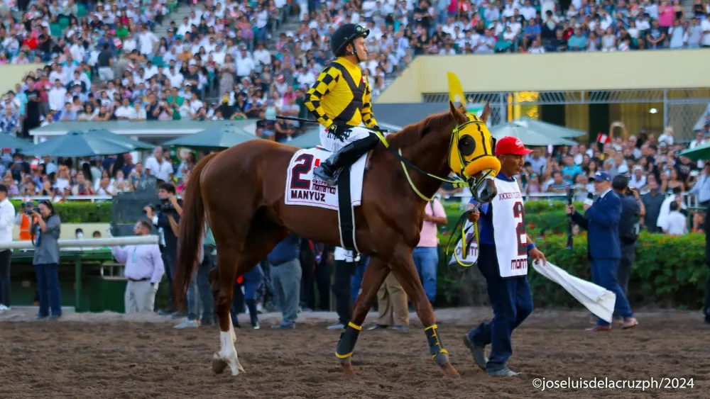 WhatsApp Image 2024-04-27 at 09.46.46