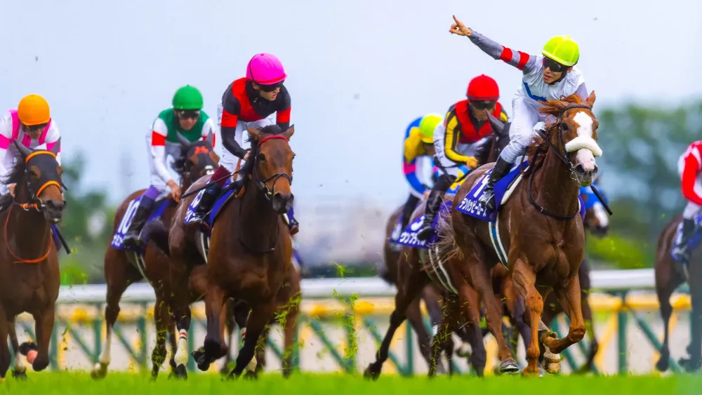 WhatsApp Image 2024-05-12 at 08.10.43