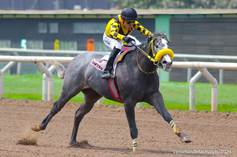 WhatsApp Image 2024-09-23 at 12.39.52