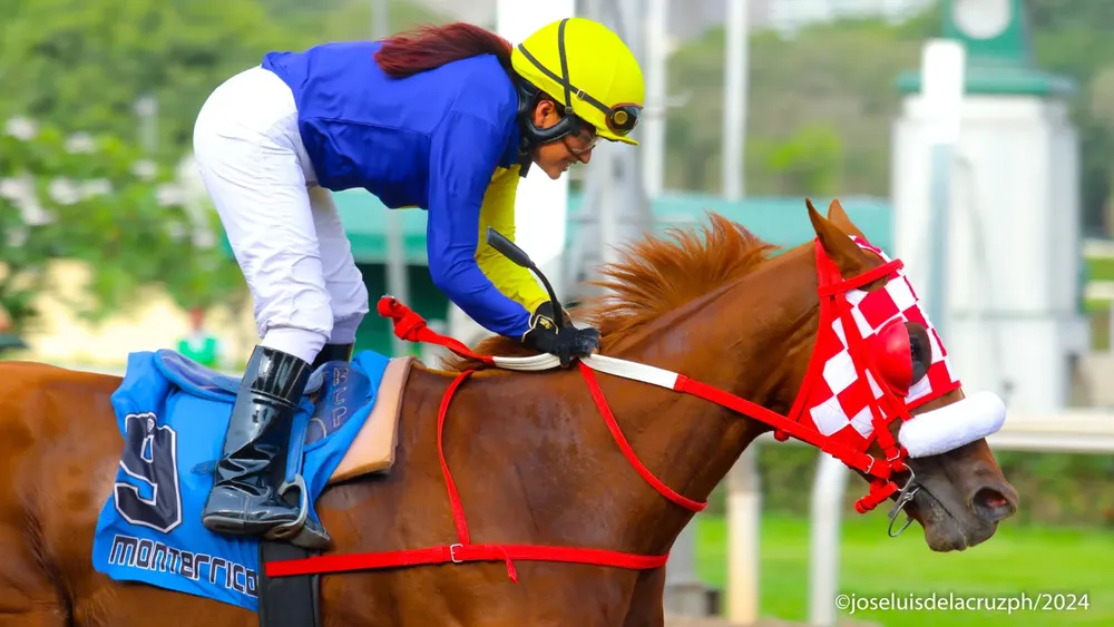 WhatsApp Image 2024-02-03 at 5.08.43 PM