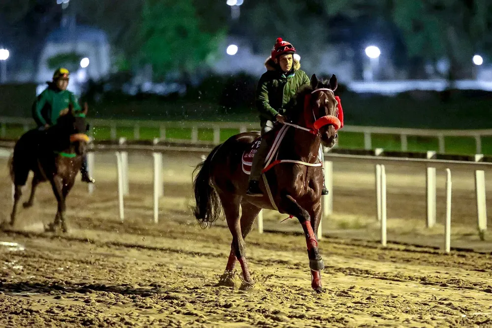 WhatsApp Image 2025-10-10 at 10.09.48 PM