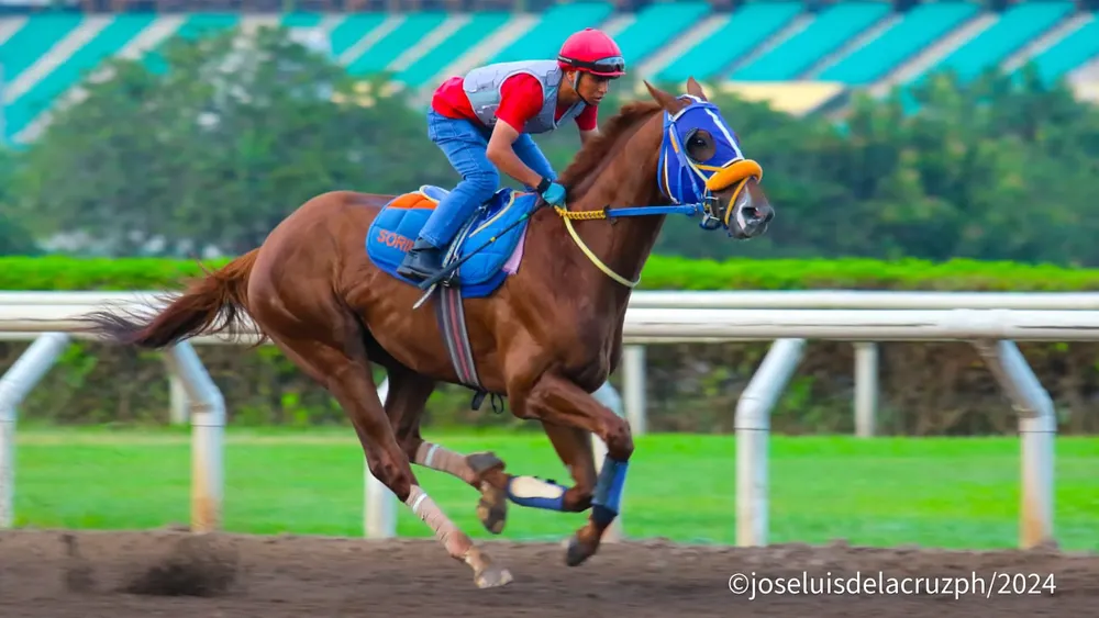 IMG-20240214-WA0009(1)