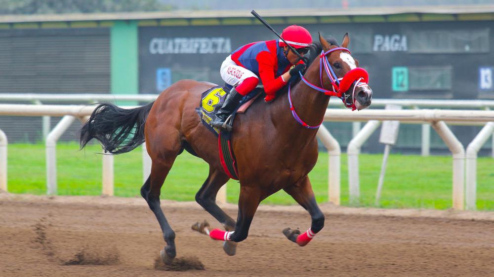 WhatsApp Image 2023-10-15 at 3.41.45 PM