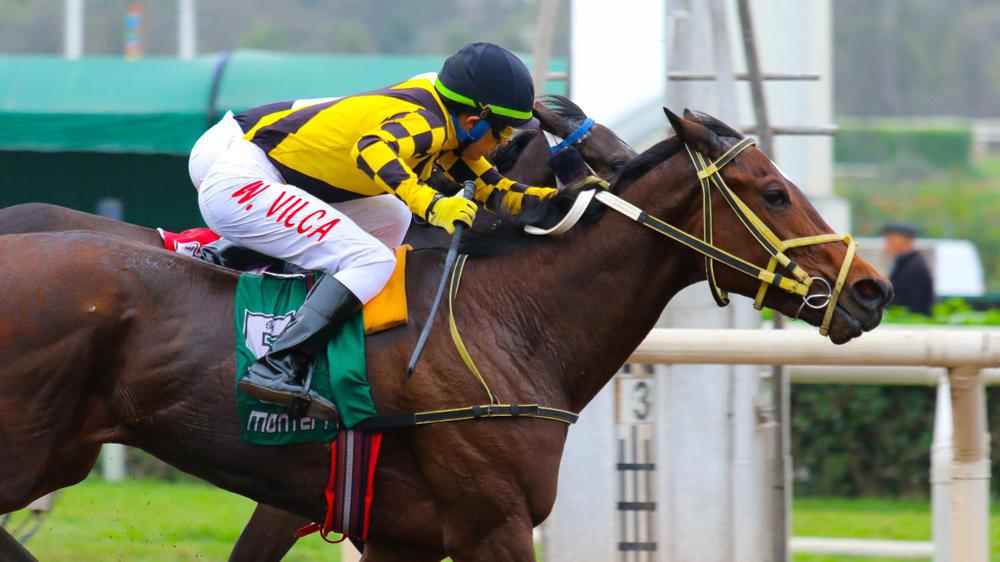 WhatsApp Image 2023-09-11 at 2.54.19 PM