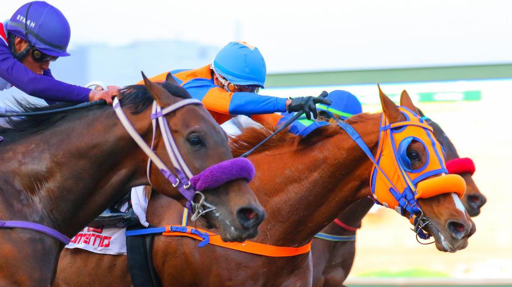 WhatsApp Image 2023-07-30 at 9.15.02 AM