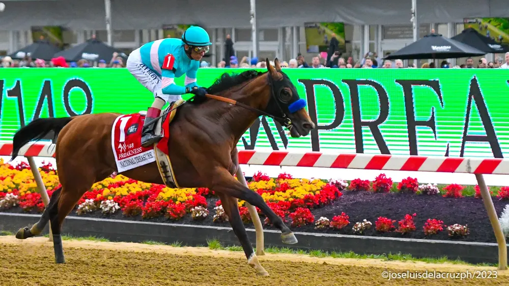 WhatsApp Image 2024-05-17 at 07.31.45 (1)