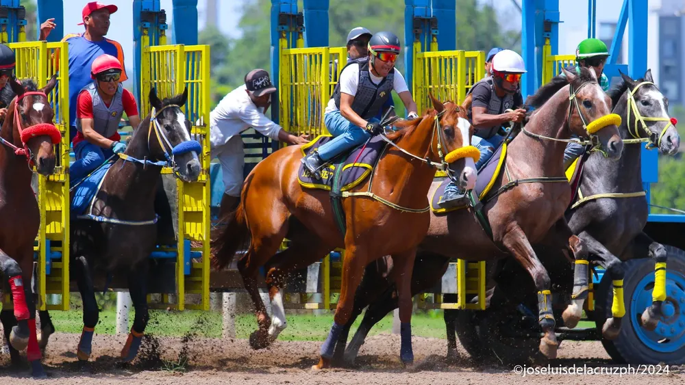 WhatsApp Image 2024-02-14 at 12.57.01 PM