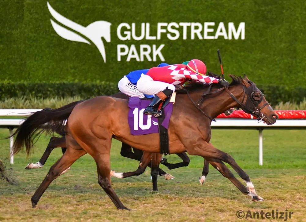 WhatsApp Image 2025-01-04 at 18.17.20 (1)