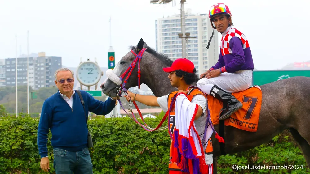 WhatsApp Image 2024-05-19 at 15.30.44