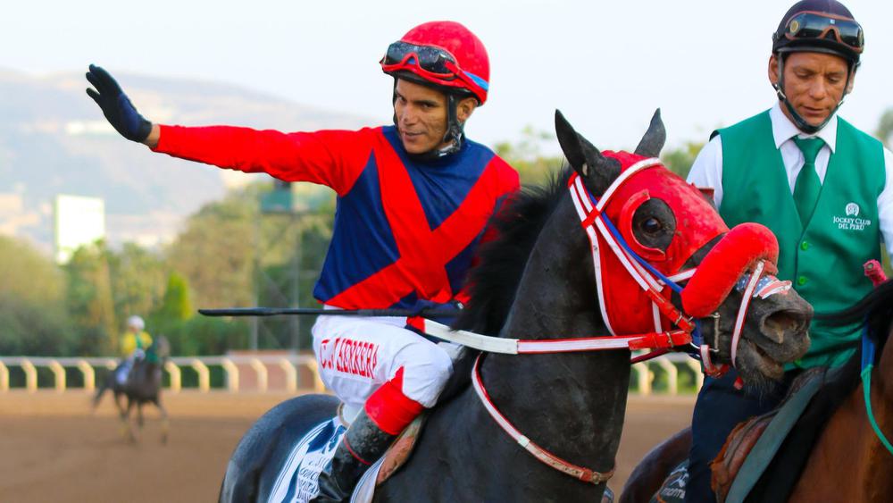 WhatsApp Image 2023-10-12 at 9.21.21 AM