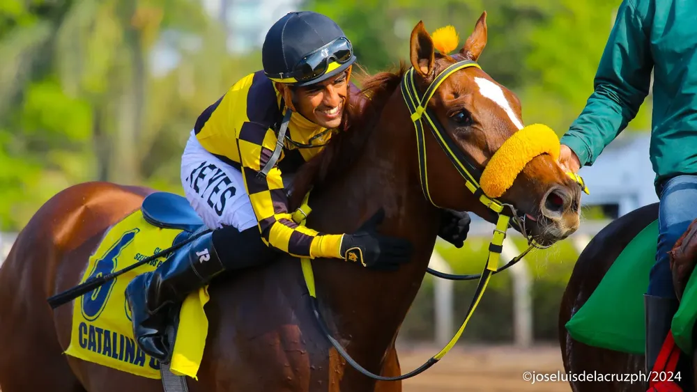 WhatsApp Image 2024-07-03 at 11.24.17