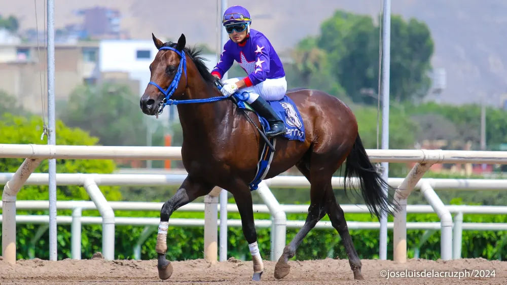 WhatsApp Image 2024-01-14 at 2.30.04 PM