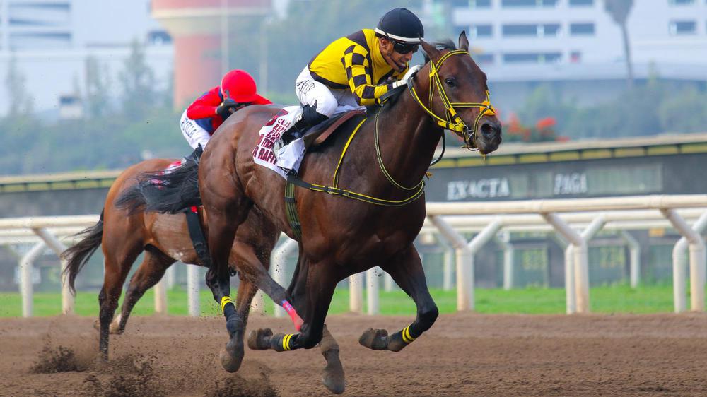 WhatsApp Image 2023-09-09 at 5.01.46 PM