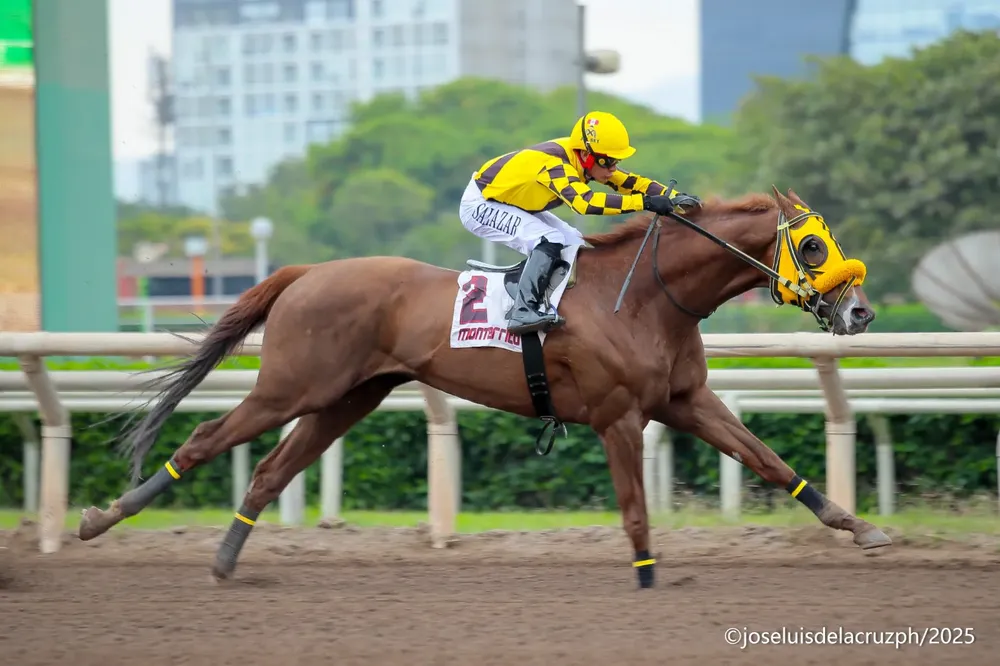 WhatsApp Image 2025-12-08 at 2.48.24 PM