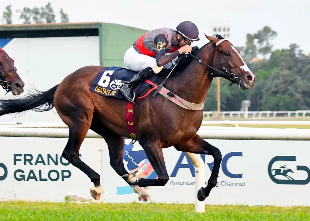 WhatsApp Image 2025-12-13 at 10.19.29 PM (1)