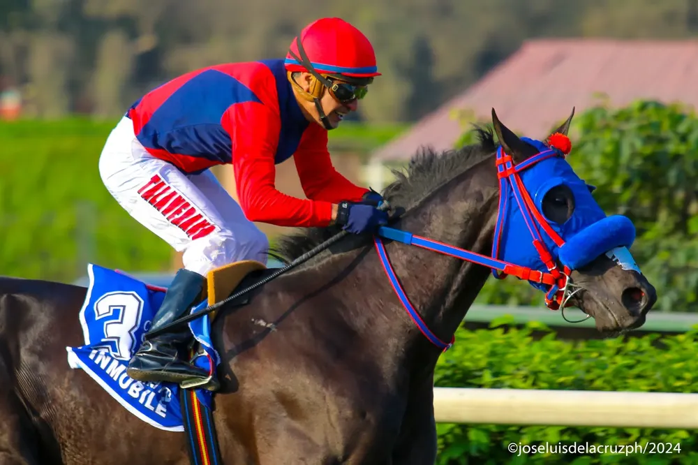 WhatsApp Image 2024-08-03 at 18.48.48