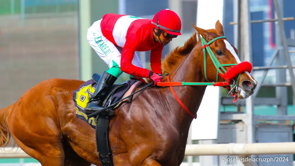 WhatsApp Image 2024-01-27 at 4.26.30 PM