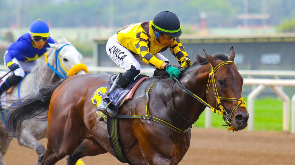 WhatsApp Image 2023-08-12 at 3.07.44 PM