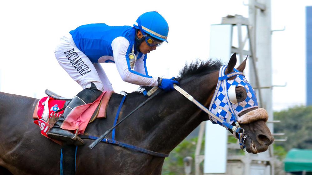 WhatsApp Image 2023-08-27 at 5.12.38 PM