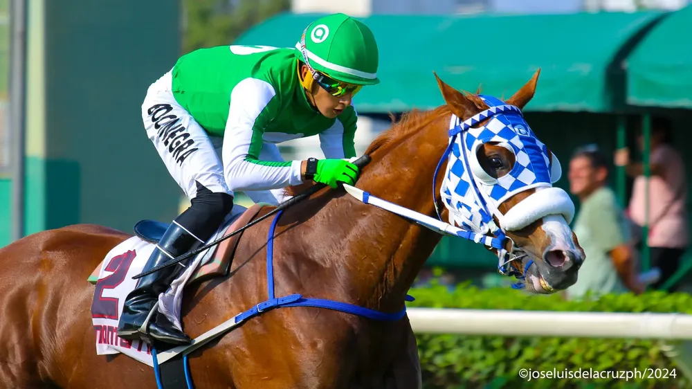 WhatsApp Image 2024-05-29 at 14.28.02