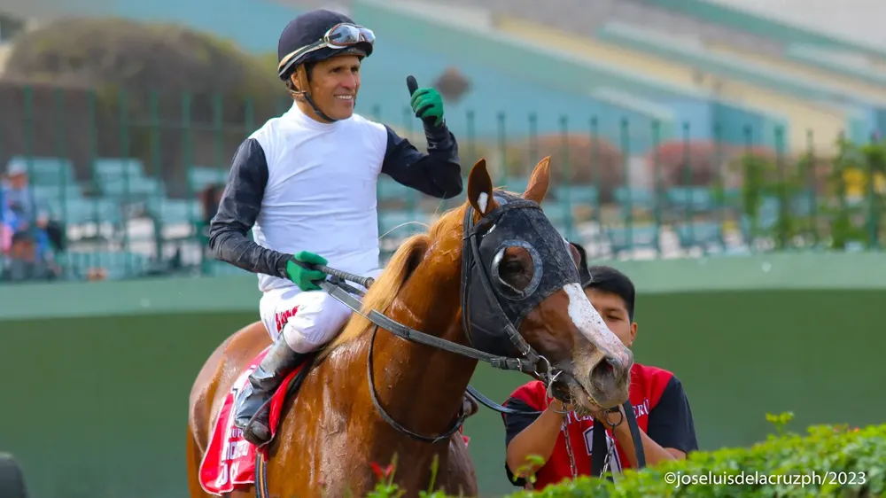 WhatsApp Image 2023-11-20 at 2.00.24 PM