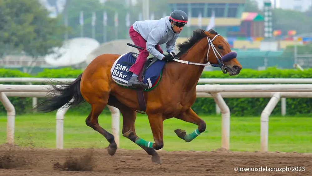 WhatsApp Image 2023-11-13 at 10.41.20 AM