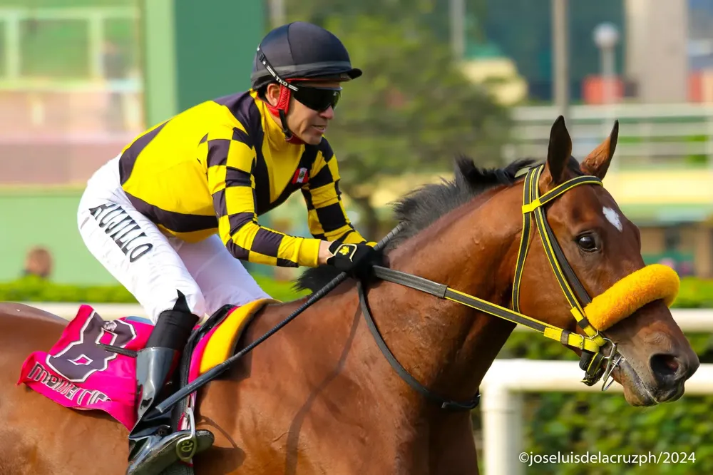 WhatsApp Image 2024-09-10 at 12.12.59