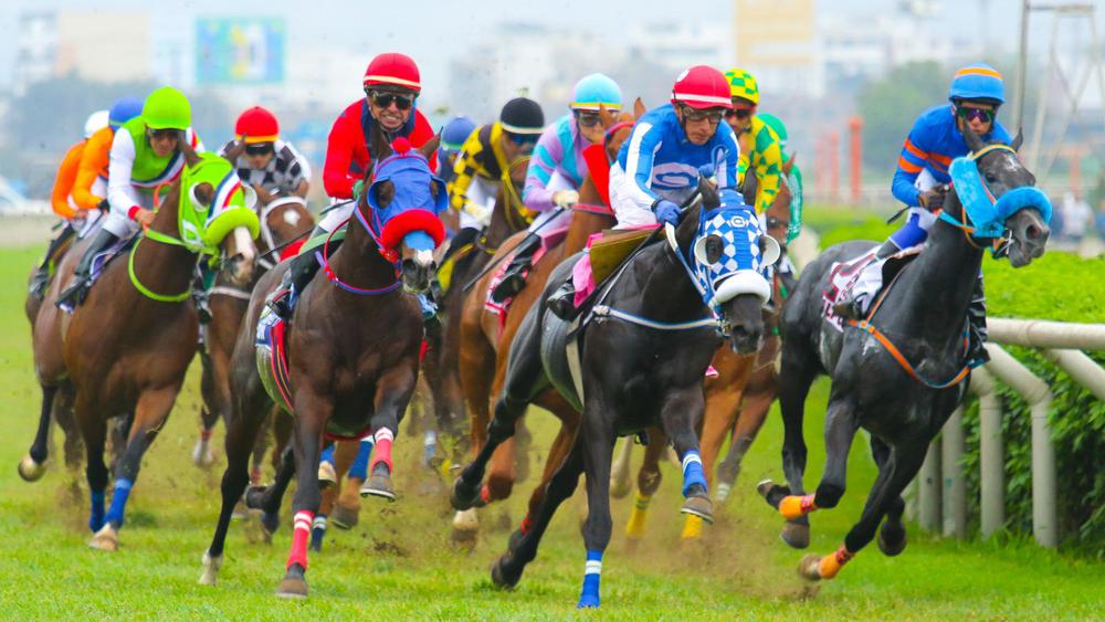 WhatsApp Image 2023-10-16 at 7.08.49 PM