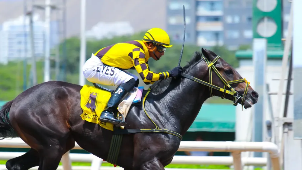 WhatsApp Image 2024-02-19 at 2.18.52 PM