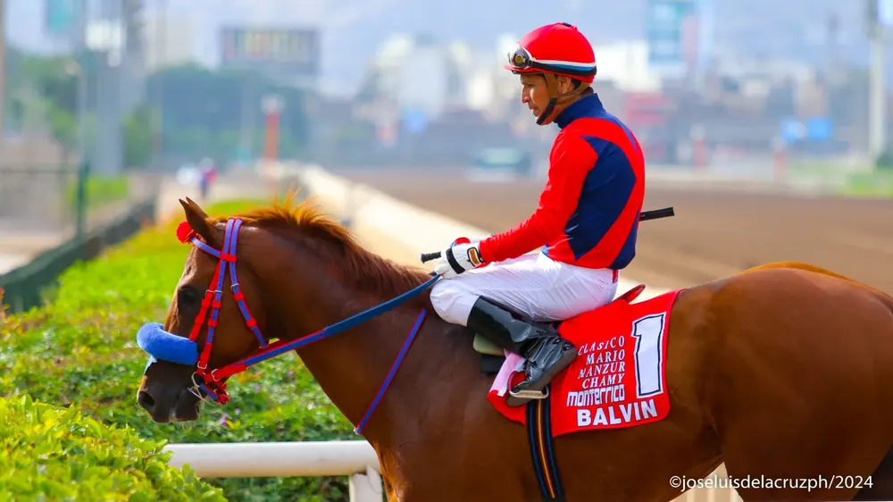 WhatsApp Image 2024-05-30 at 12.25.22