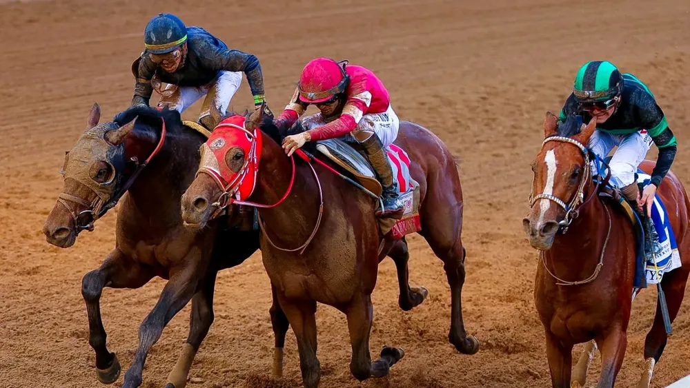 WhatsApp Image 2024-05-08 at 13.57.17