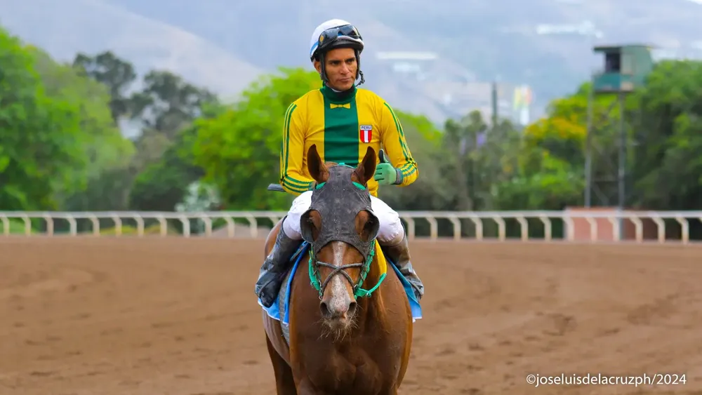 WhatsApp Image 2024-05-08 at 10.55.49