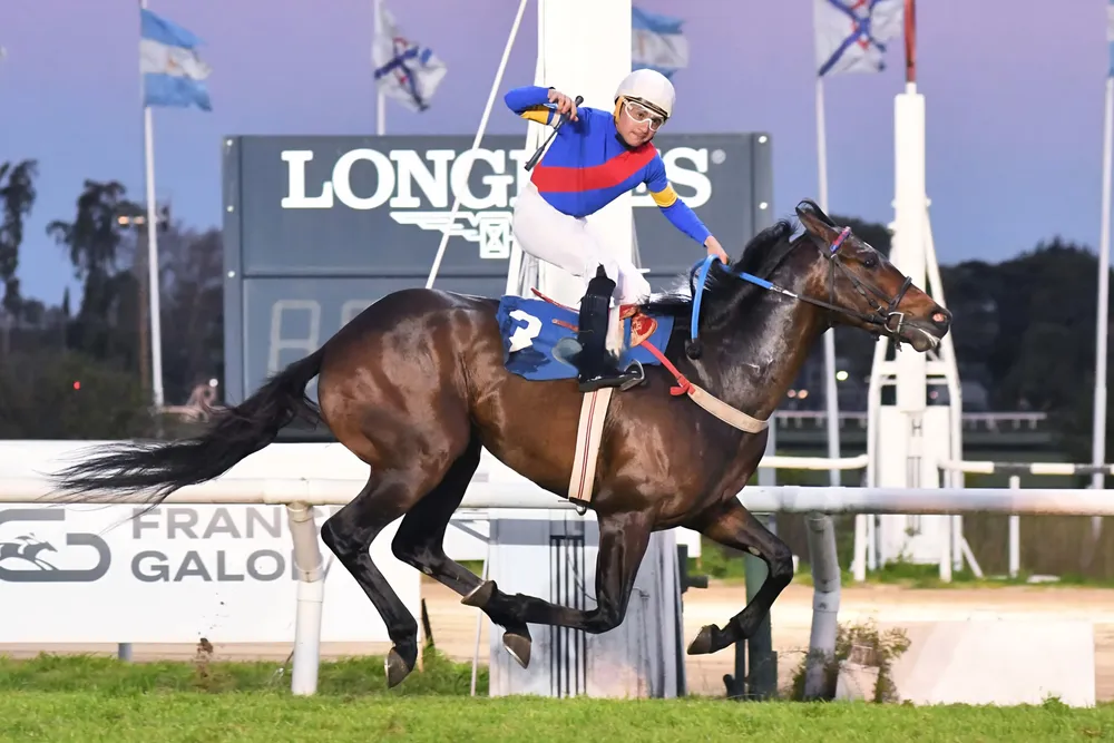 InShot_20250829_181607201