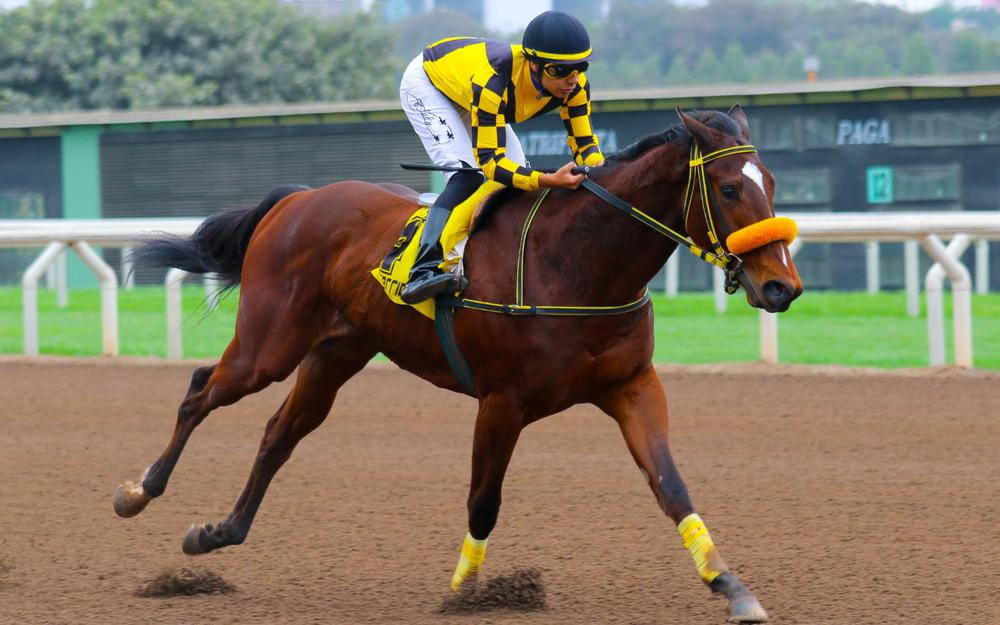 WhatsApp Image 2023-07-30 at 5.54.52 PM