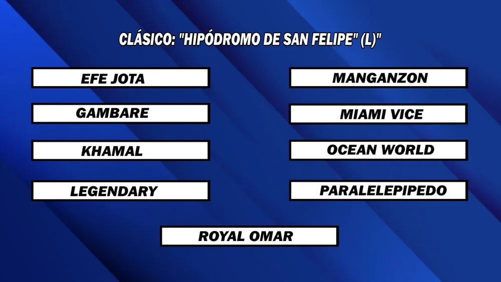 WhatsApp Image 2025-08-04 at 2.20.57 PM