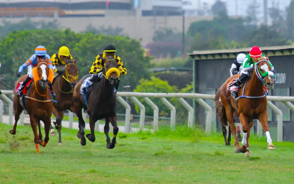 WhatsApp Image 2024-08-13 at 13.27.51