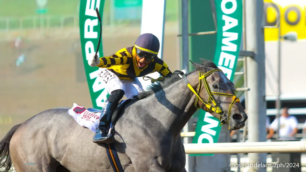 WhatsApp Image 2024-04-13 at 16.12.09