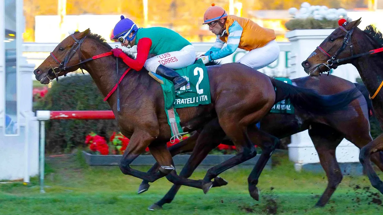 WhatsApp Image 2024-05-26 at 20.08.09