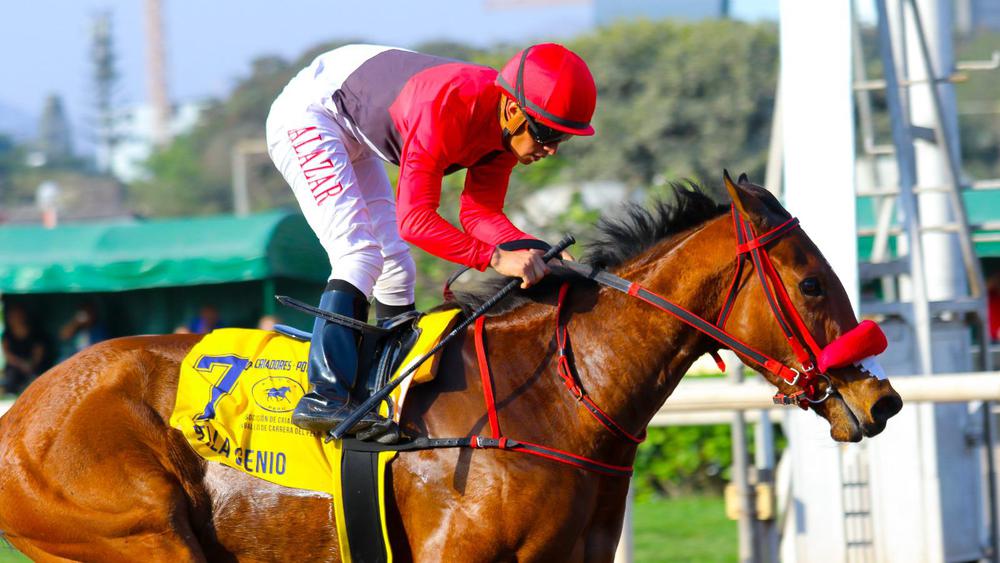 WhatsApp Image 2023-08-13 at 4.27.20 PM