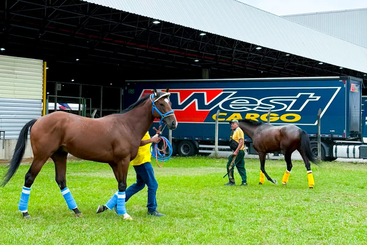 WhatsApp Image 2025-10-08 at 7.22.02 PM