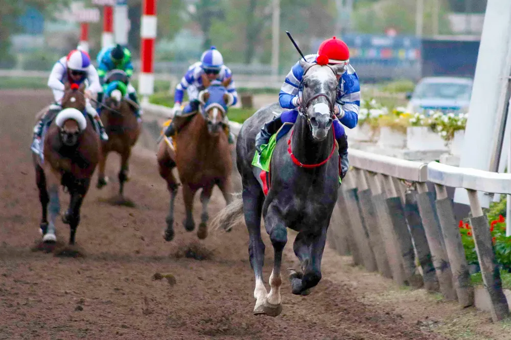 WhatsApp Image 2025-10-05 at 1.09.13 PM (1)