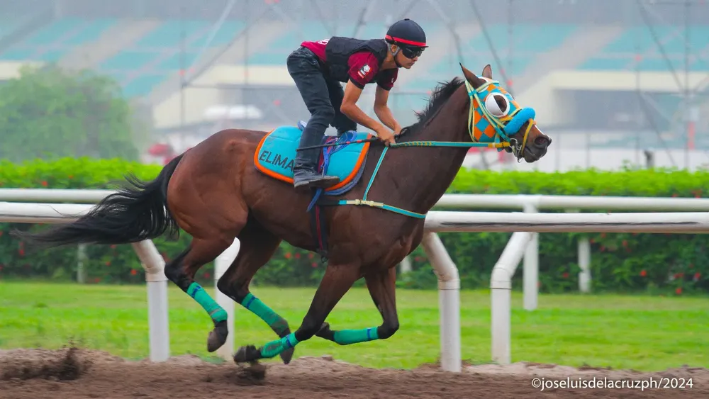 WhatsApp Image 2024-05-07 at 11.07.00