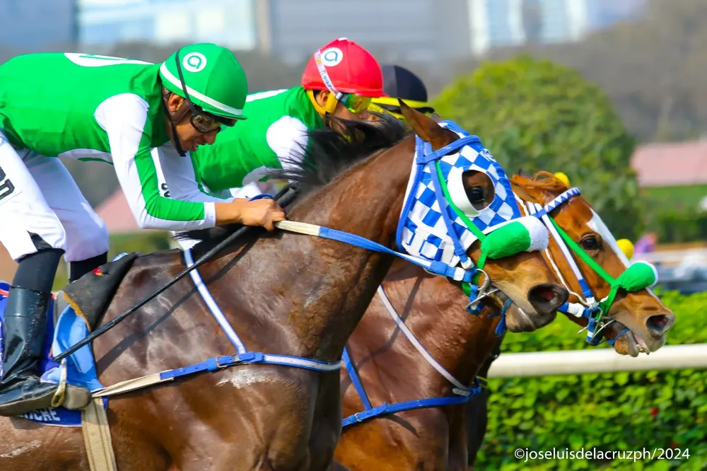 WhatsApp Image 2024-09-23 at 12.39.52 (2)