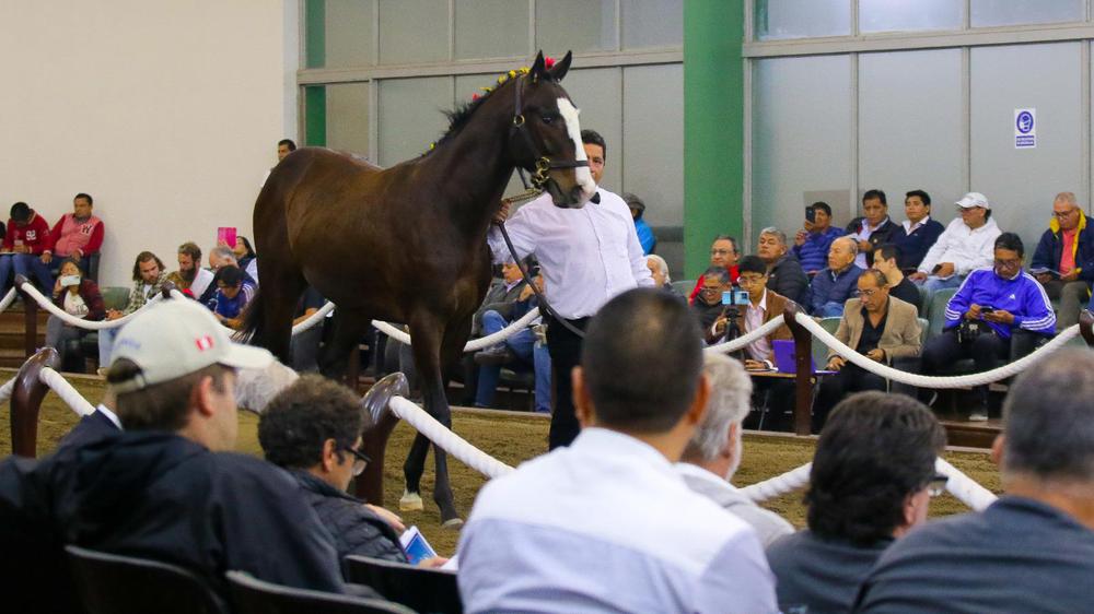 WhatsApp Image 2023-08-03 at 6.12.07 PM