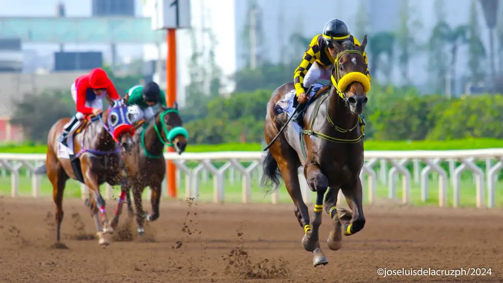 WhatsApp Image 2024-04-07 at 16.19.43