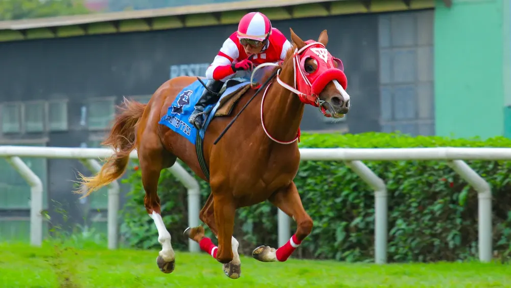 WhatsApp Image 2023-12-06 at 1.04.29 PM