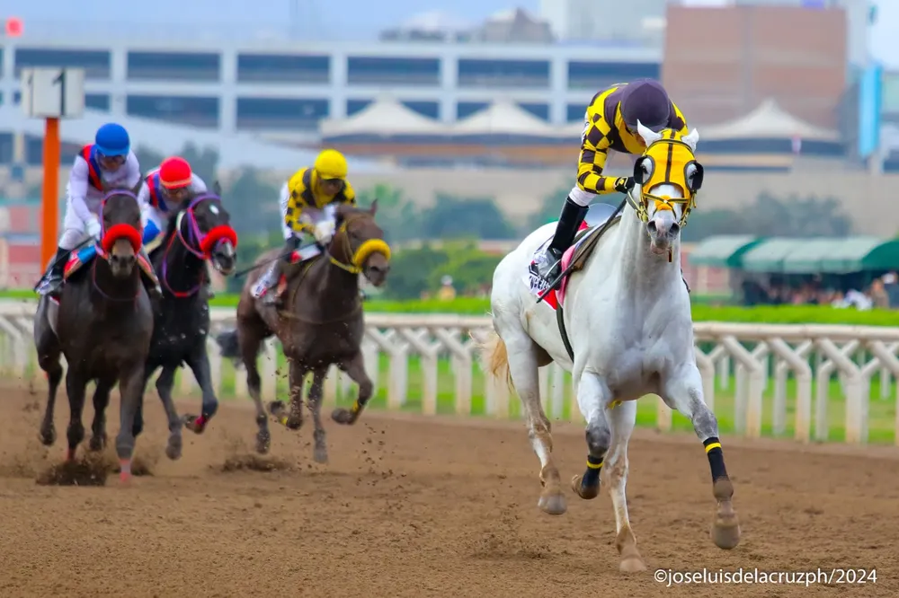 WhatsApp Image 2024-08-01 at 19.04.43