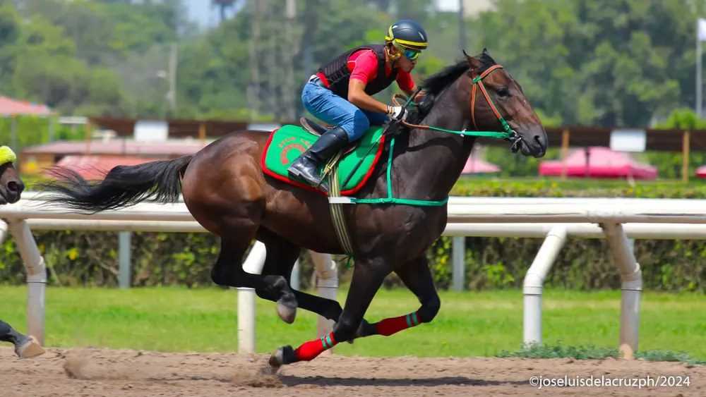 WhatsApp Image 2024-03-13 at 12.07.33 PM