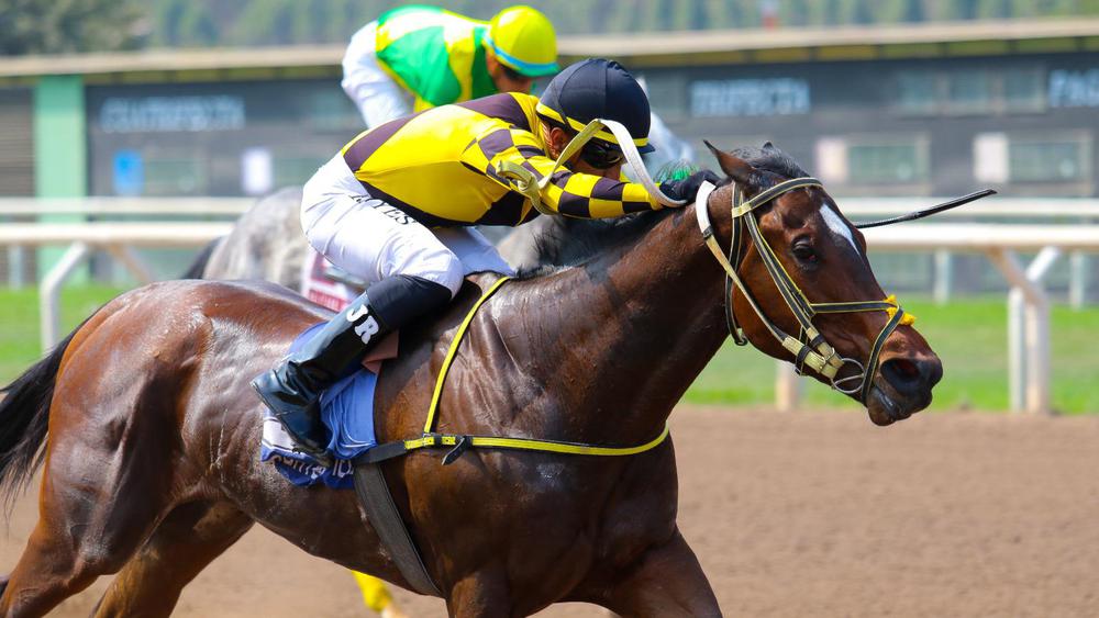 WhatsApp Image 2023-08-28 at 5.07.07 PM